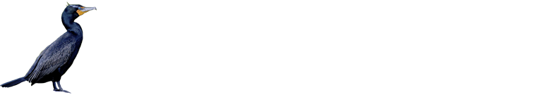 На главную